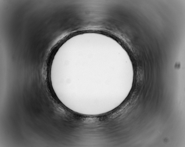 X0000103421406200810101008