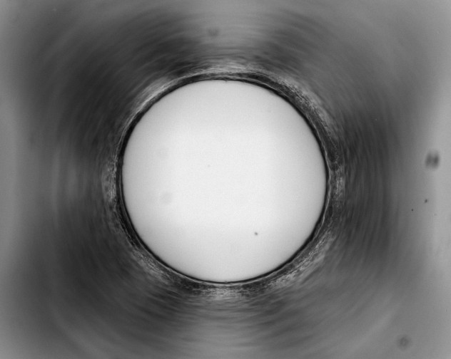X0000103421409200810101008