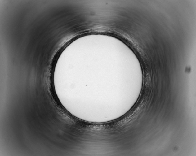 X0000103421410200810101008