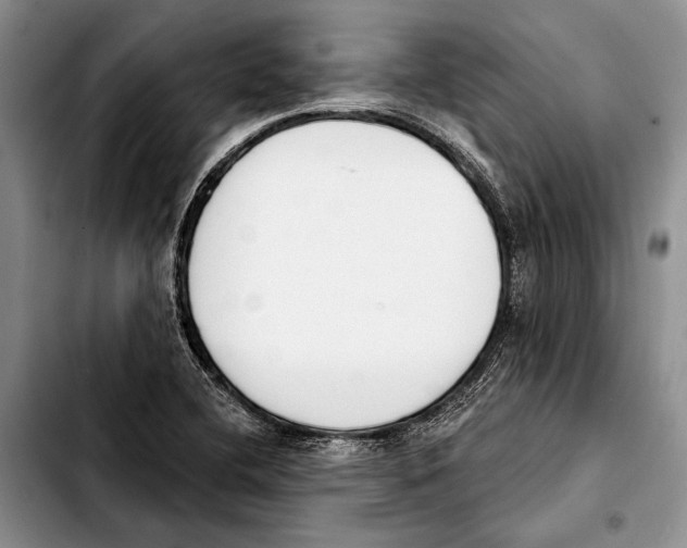 X0000103421412200810101008