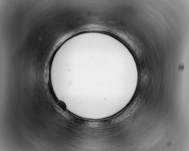 X0000103421413200810101008