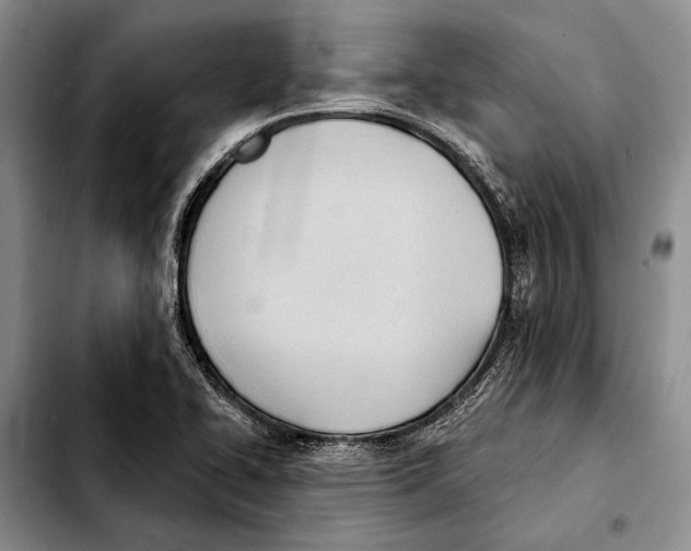 X0000103421414200810101008
