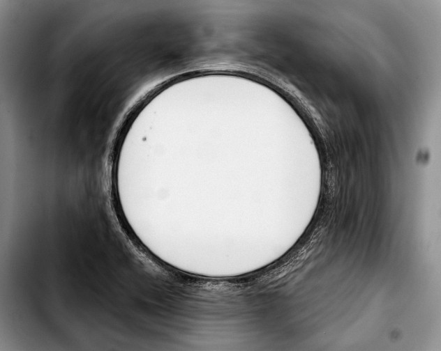 X0000103421416200810101008