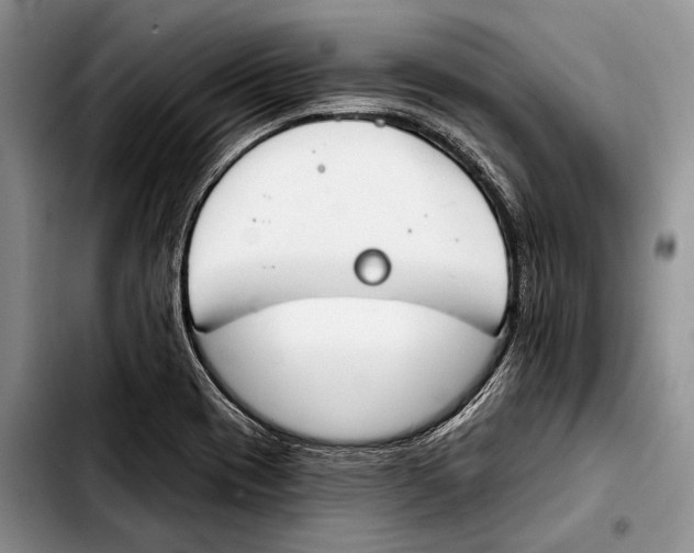 X0000103421417200810101008