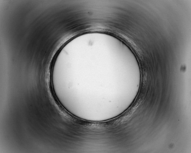 X0000103421418200810101008