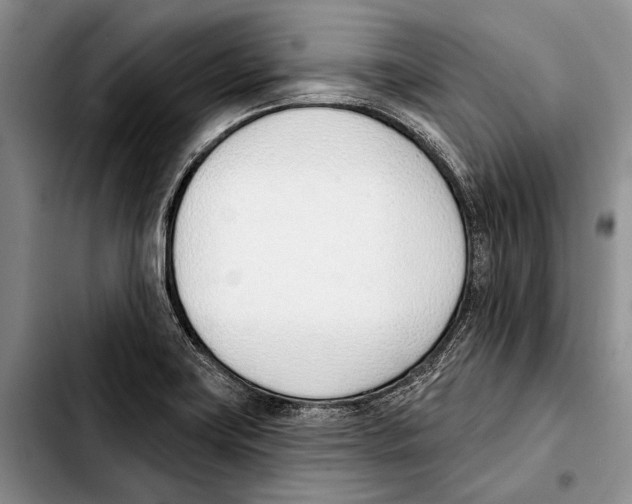 X0000103421419200810101008
