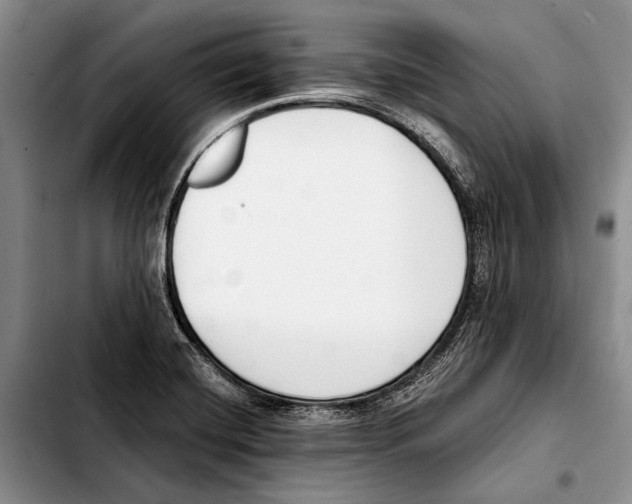 X0000103421420200810101008