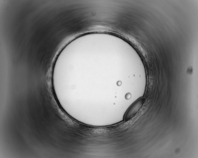 X0000103421421200810101008