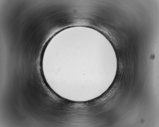 X0000103421422200810101008