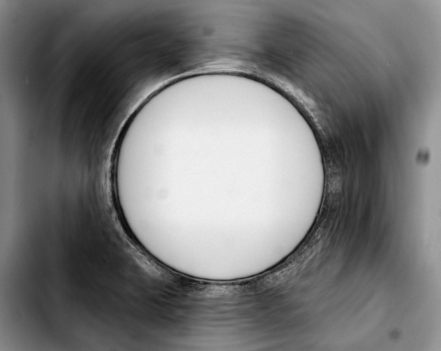 X0000103421423200810101008