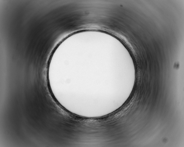 X0000103421424200810101009