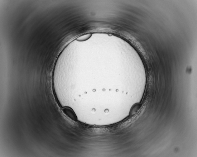 X0000103421425200810101009