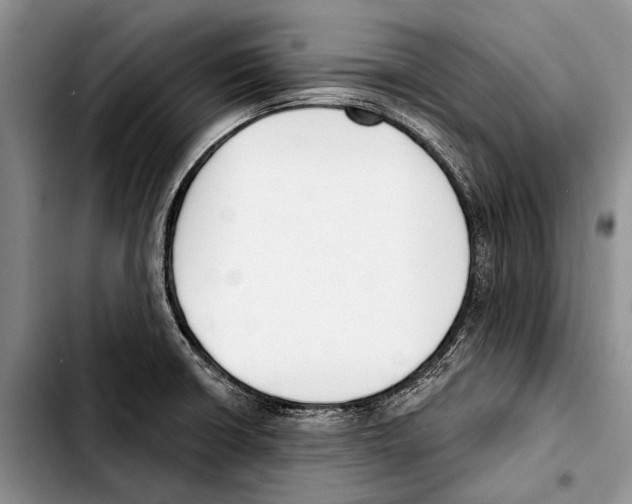 X0000103421426200810101009