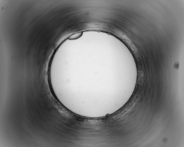 X0000103421427200810101009