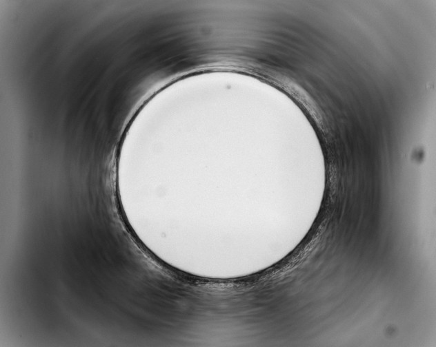 X0000103421428200810101009