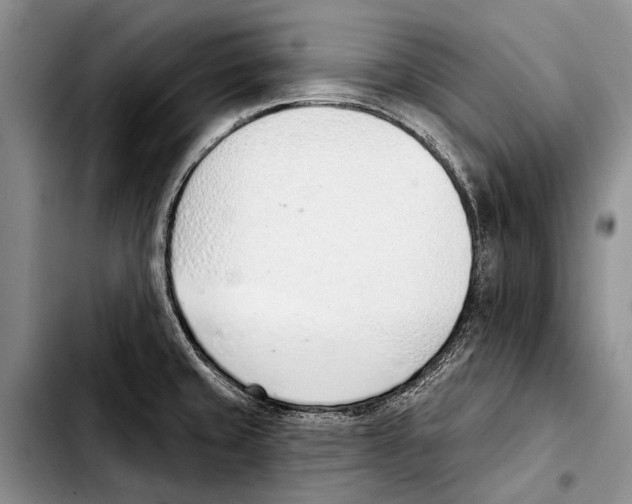 X0000103421429200810101009