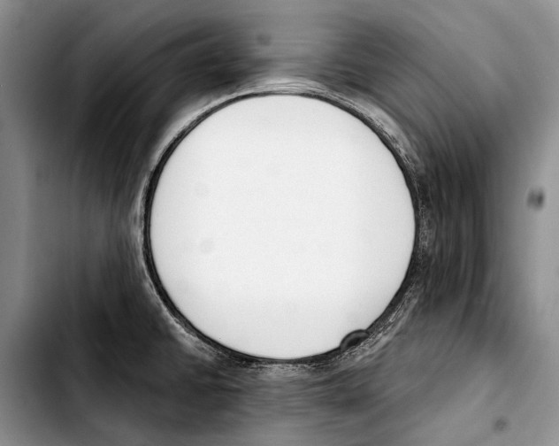 X0000103421430200810101009