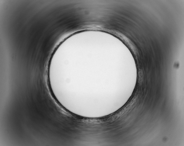 X0000103421432200810101009