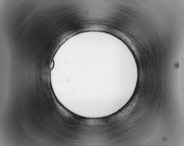 X0000103421433200810101009