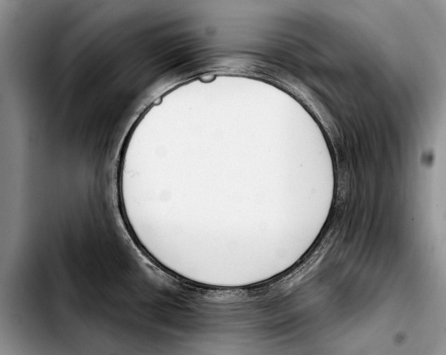 X0000103421434200810101009