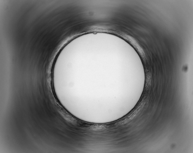 X0000103421435200810101009