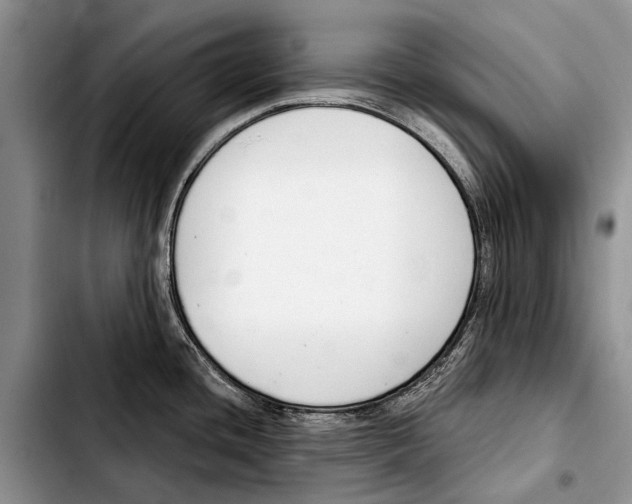 X0000103421436200810101009