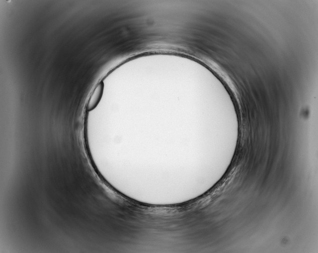 X0000103421437200810101009