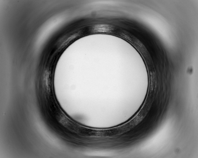 X0000103421438200810101009