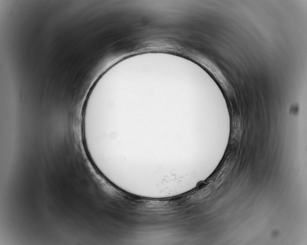 X0000103421439200810101009