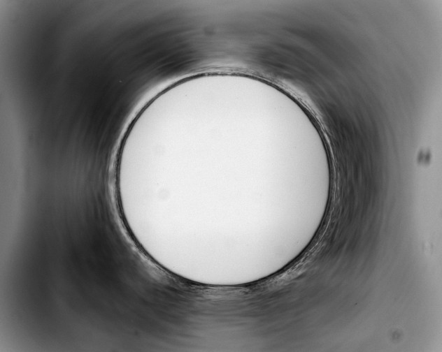 X0000103421440200810101009