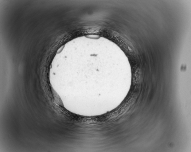 X0000103421441200810101008