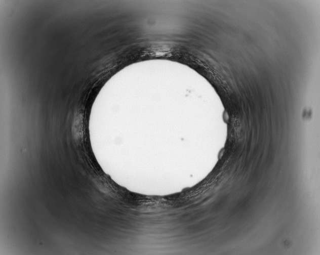 X0000103421442200810101008