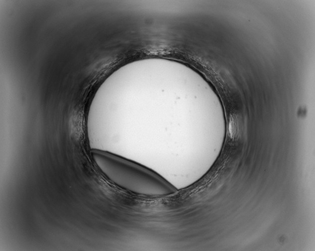 X0000103421444200810101008