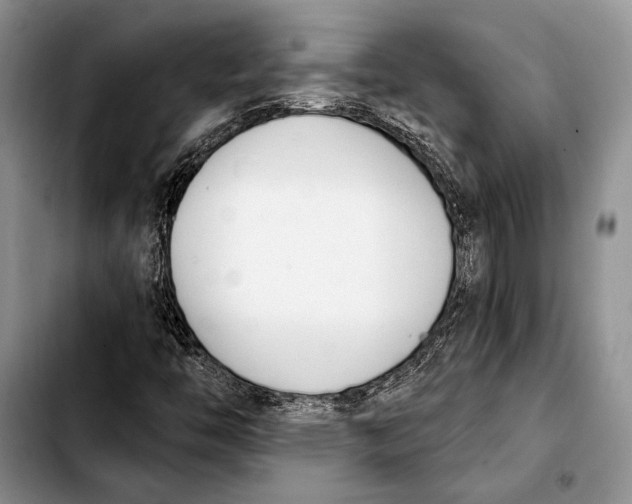 X0000103421446200810101008