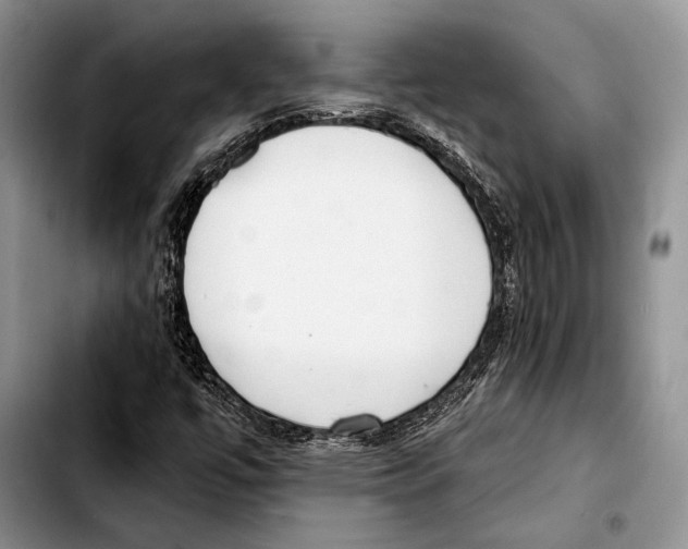 X0000103421447200810101008
