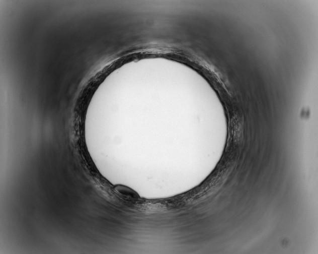 X0000103421448200810101008