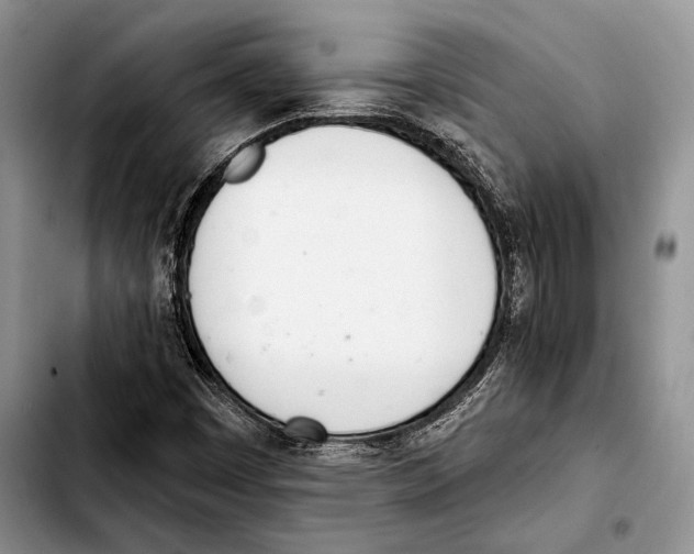 X0000103421449200810101008