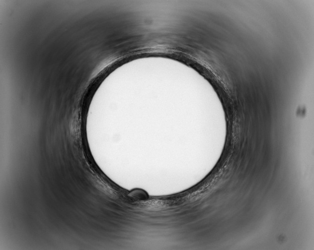 X0000103421450200810101008