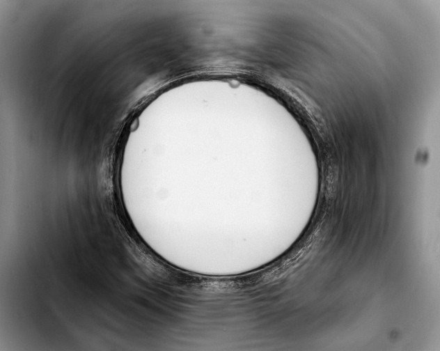X0000103421451200810101008