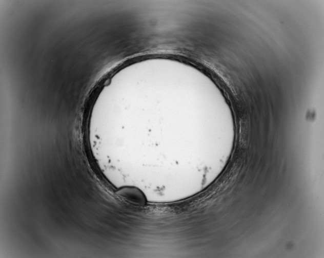 X0000103421452200810101008