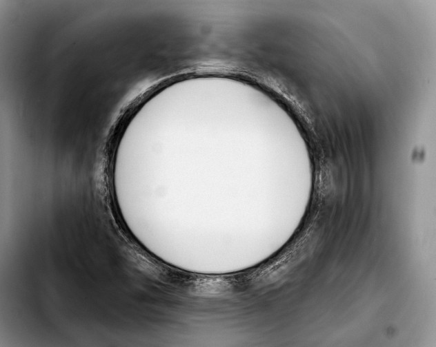 X0000103421454200810101008