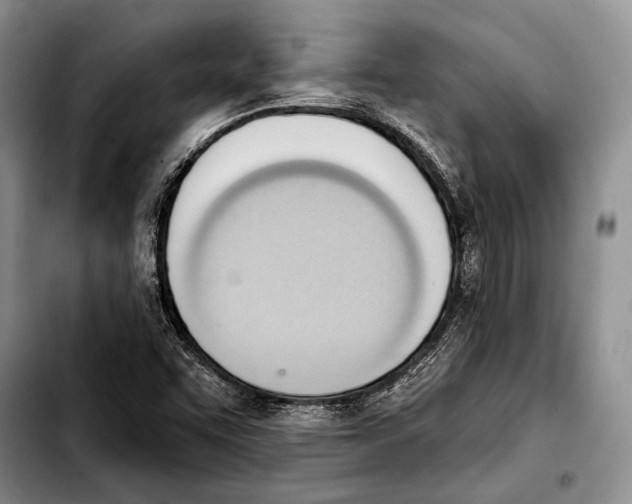 X0000103421455200810101008