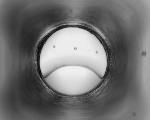 X0000103421456200810101008