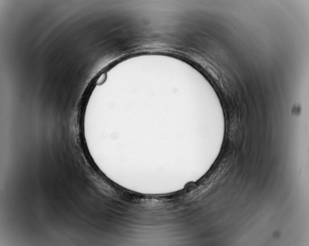 X0000103421458200810101008