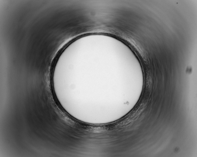 X0000103421460200810101008