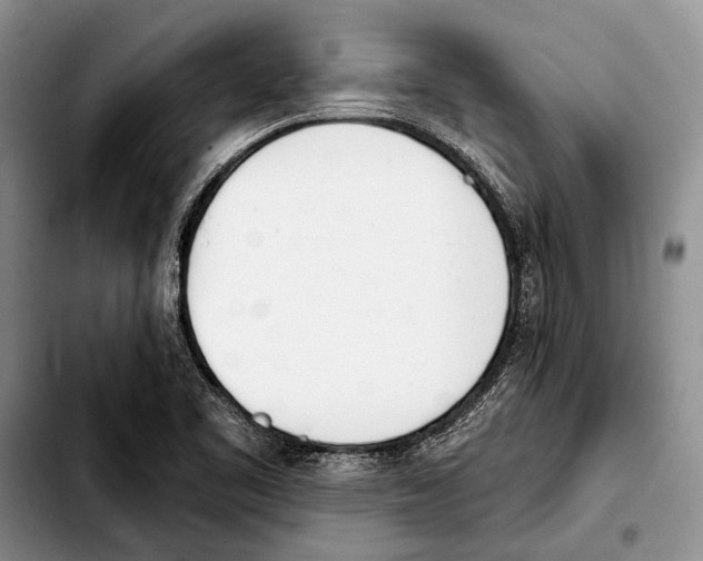 X0000103421461200810101008
