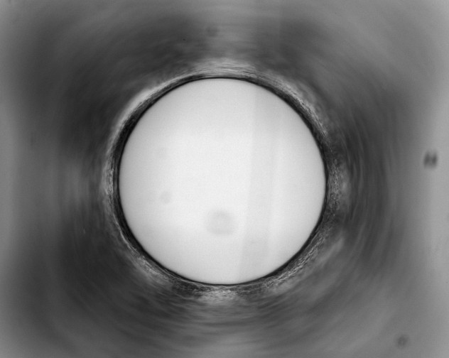 X0000103421462200810101008