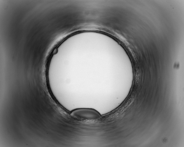 X0000103421464200810101008