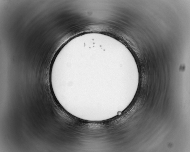 X0000103421465200810101008