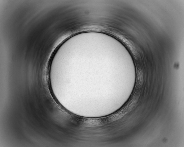 X0000103421466200810101008